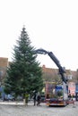 Test For DiabetesCrane lifts and installs a Christmas tree on the town square