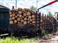 Crane loading cut logs on a railcar Royalty Free Stock Photo