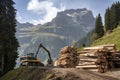 crane loading cut tree trunks on stack on mountain