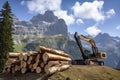 crane loading cut tree trunks on stack on mountain