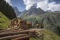 crane loading cut tree trunks on stack on mountain