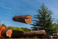 Crane moves large section of Redwood tree