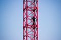 The crane operator climbs the stairs to a large red crane for the construction of a large health center in the city of Gatchina.