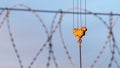 The cranes load hook is illuminated by orange rays of the sun against the sky. Royalty Free Stock Photo