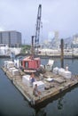 Crane and small barge, Miami Harbor, Miami, Florida