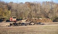 A Crane Stacks Fresh Cut Trees. Royalty Free Stock Photo