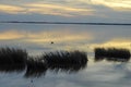 Crane Standing in the Bay of the Outer Banks with the Sunset Reflecting Over the Waters Royalty Free Stock Photo