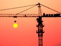 A crane in the sunset Royalty Free Stock Photo