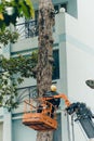 Crane truck on road for group of people working in Saigon,Vietnam, Vietnamese worker work on boom lift to cut branch of tree for