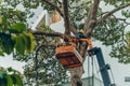 Crane truck on road for group of people working in Saigon,Vietnam, Vietnamese worker work on boom lift to cut branch of tree for