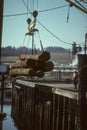 Crane unloading logging trucks Royalty Free Stock Photo