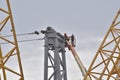 Crane