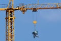 Crane at work Royalty Free Stock Photo
