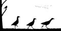 Corn crake Crex crex in the field. Vector silhouette