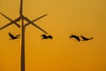 Cranes against orange sky with wind turbines