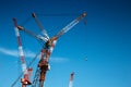 Cranes on blue sky Japan