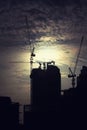 Cranes at building construction site Royalty Free Stock Photo