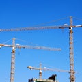 Cranes on building construction Royalty Free Stock Photo