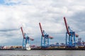 Cranes at the container terminals in the port of Hamburg Royalty Free Stock Photo