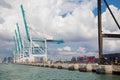 Cranes and containers in Miami harbor