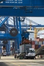 Cranes at Freight Terminal, Manzanillo International port