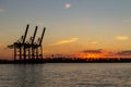 Cranes at Hamburg Harbour at Sunset Royalty Free Stock Photo