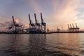 Cranes at Hamburg Harbour at Sunset Royalty Free Stock Photo