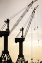 Cranes in the harbor at sunset Royalty Free Stock Photo