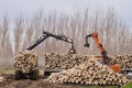 Cranes for logs and woodpiles Royalty Free Stock Photo