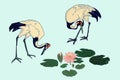 Cranes and lotus flowers and leaves in water isolated vector illustration in old japanese woodprint ukiyoe-e style. Old