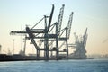 Cranes in the port of Antwerp