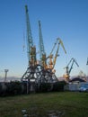 Cranes in the port. Clear day. Loading cargo. Industrial zone