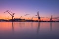Cranes in the port Royalty Free Stock Photo