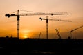 Cranes at sunset Royalty Free Stock Photo