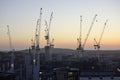 Cranes surrounded by buildings during the sunset in the evening in Edinburgh in Scotland