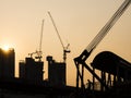 Cranes working on Building Construction site Royalty Free Stock Photo