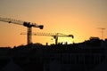 Cranes working at sunset in Lisbon Royalty Free Stock Photo