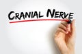 Cranial Nerve are a set of 12 paired nerves in the back of your brain, text concept background