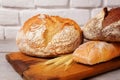 Fresh homemade bread assortment on old cutting board Royalty Free Stock Photo