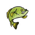 Crappie Fish Mascot Royalty Free Stock Photo