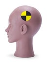 Crash Dummy Head Side View Royalty Free Stock Photo