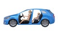 Crash Test Dummies in the Car Royalty Free Stock Photo