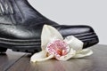 Crashed flower by shoe on the wooden floor