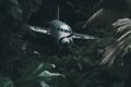 Crashed plane in the jungle. Neural network AI generated