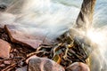 Crashing Waves and Tree Roots on Lake Superior Shoreline Royalty Free Stock Photo