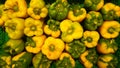 Crate abundance of green and yellow peppers