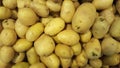 Crate abundance of yellow potatoes