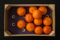 Crate of Clementine Oranges, From Above