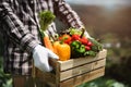 Crate filled with a large selection of healthy fresh organic fruits and vegetables shot on dark wooden table Royalty Free Stock Photo