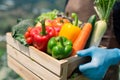 Crate filled with a large selection of healthy fresh organic fruits and vegetables shot on dark wooden table Royalty Free Stock Photo